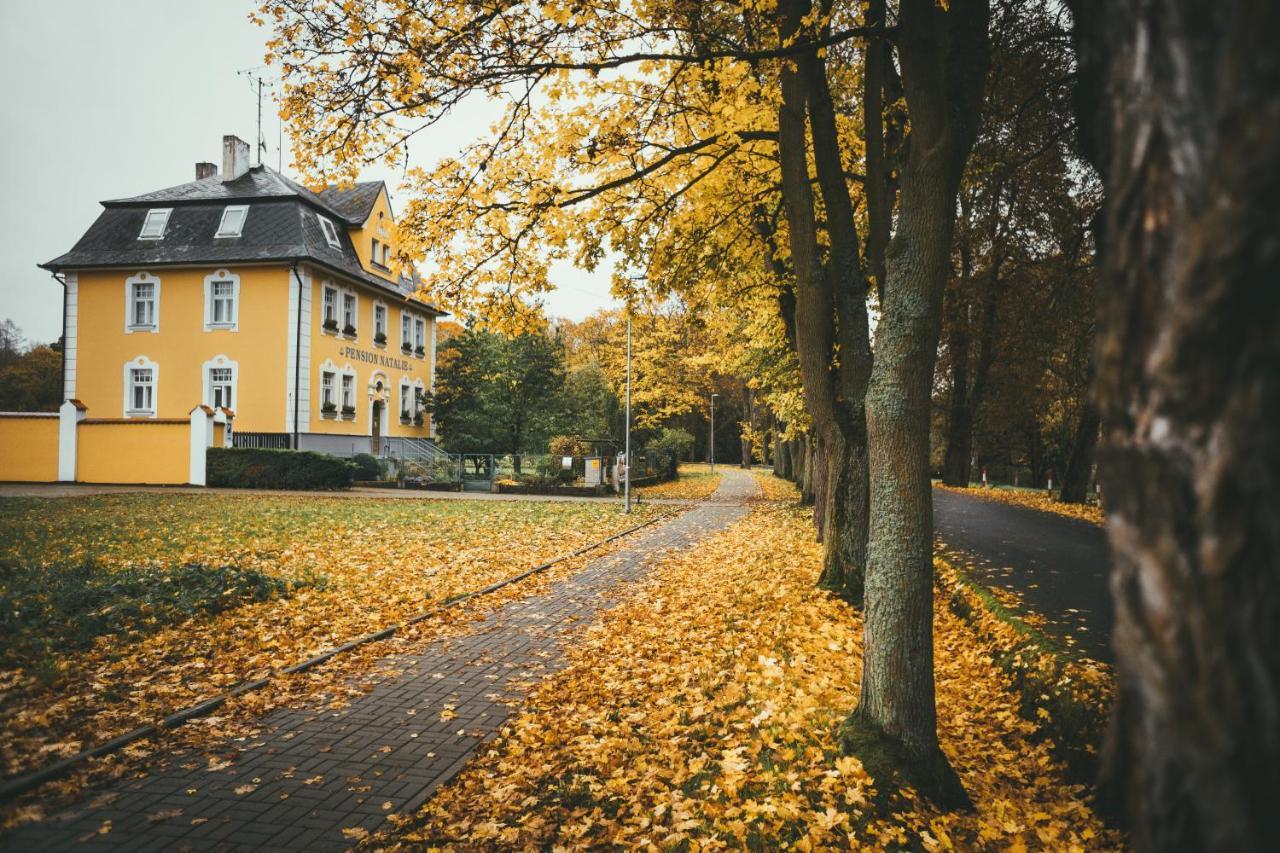 Apartmány Natálie Františkovy Lázně Exterior foto
