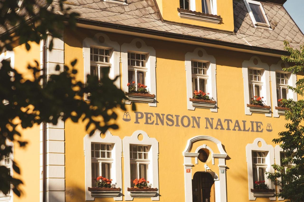 Apartmány Natálie Františkovy Lázně Exterior foto